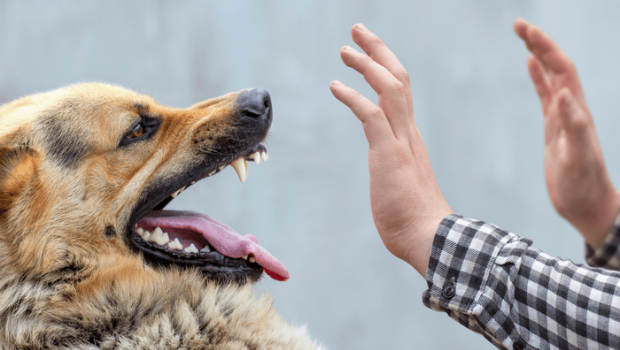 Quduzluqdan ölən uşaqla bağlı RƏSMİ AÇIQLAMA