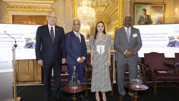 Leyla Əliyeva Londonda keçirilən yüksək səviyyəli iqlim dialoqu ilə bağlı paylaşım etdi - VİDEO