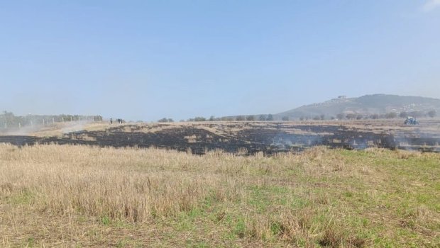 Şamaxıda yanğın törədən şəxs məsuliyyətə cəlb olundu - FOTO