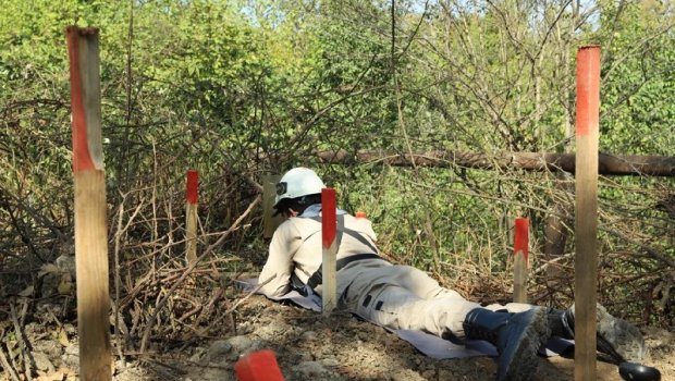 SON DƏQİQƏ! Xocavənddə ağaca quraşdırılmış tələ minası aşkarlandı – FOTO