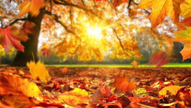 Meteohəssas insanlara sabahın havası ilə bağlı XƏBƏRDARLIQ