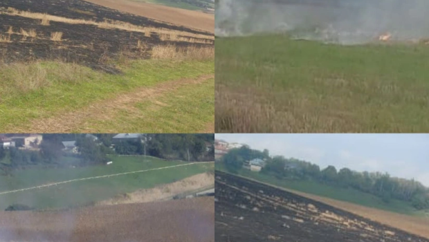 Qusarda əkin sahələrini yandıran 3 nəfər cəzalandırıldı