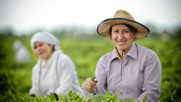 Bu şəxslər gündəlik 30 manat nağd pul ALA BİLƏCƏK