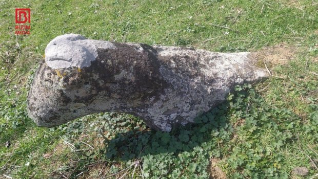 Cəlilabadda tarixi heykələ qarşı VANDALLIQ - FOTO