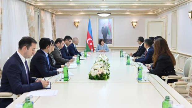 Milli Məclisin sədri TÜRKPA-nın yeni Baş katibinin başçılıq etdiyi nümayəndə heyəti ilə görüşüb