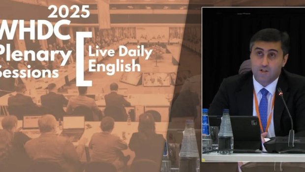 Abbas Abbasov: “Belçikanın Afrikada törətdiyi vəhşiliklər insan əzabının ən dəhşətli nümunələrindən biridir” – FOTO