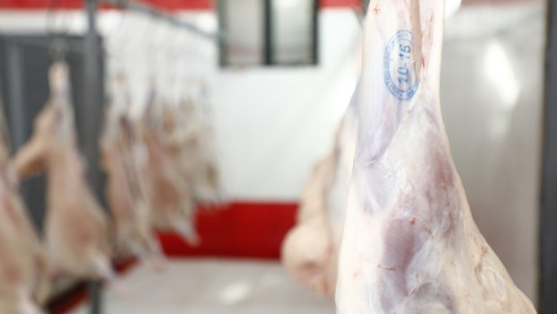 AQTA: Ətin bişirilmə temperaturu virus və bakteriyaların məhv olmasını təmin edir - FOTO