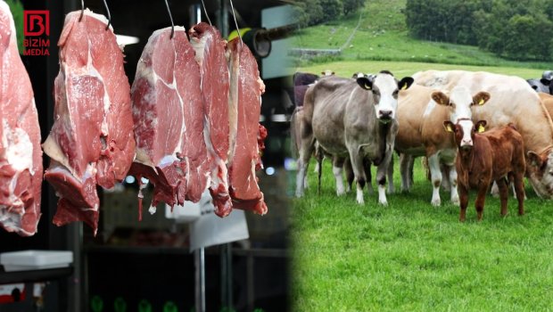 Dabaq təhlükəsinə görə ət bazarlarında vəziyyət necədir? - VİDEOREPORTAJ
