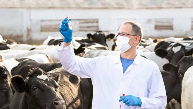 Dabaq xəstəliyinin qarşısını almaq üçün hansı tədbirlər görülür? – RƏSMİ AÇIQLAMA