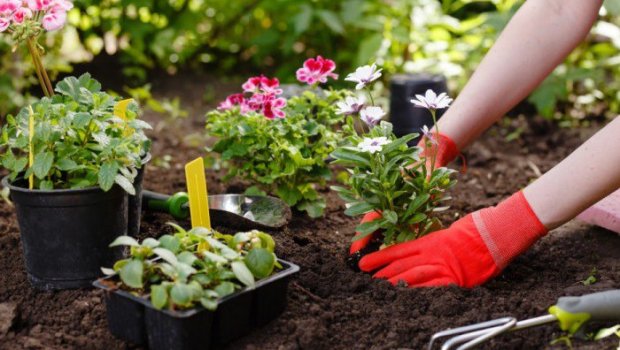 Ərini öldürüb basdırdığı yerdə güllər əkibmiş... – Bakıdakı qətlin TƏFƏRRÜATI