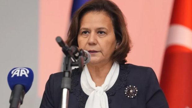 Berris Ekinci Azərbaycana gələcək