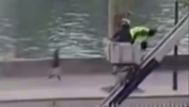 Luvrdan oğurluq edənlər muzeydən belə qaçıblar – ANBAAN VİDEO