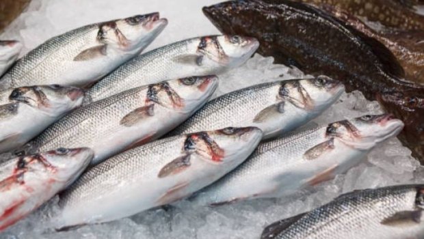 Balığa TƏLƏBAT artdı – Bazarda qiymətlər əl “yandırır”