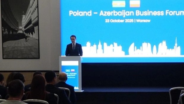 Varşavada Azərbaycan-Polşa biznes forumu keçirildi - FOTO/VİDEO