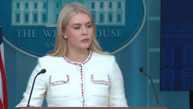 Ağ Evin sözçüsü: “Putin və Trampın görüşü hələ də mümkündür, lakin…” - VİDEO