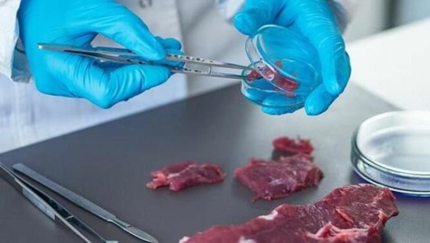 Bahalaşmaya alternativ ÇÖZÜM – Süni ət satışa çıxarılacaq?