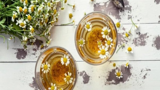 Çobanyastığı çayı təhlükəli ola bilər: Hər kəsin bilmədiyi 5 ƏKS TƏSİR