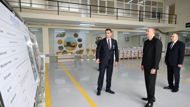 Prezident Sabirabadda toxum istehsalı müəssisəsində - FOTO