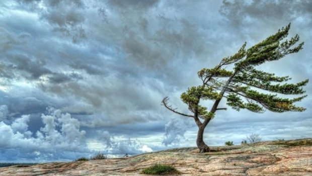 Küləkli hava ilə bağlı sarı və narıncı XƏBƏRDARLIQ VERİLDİ