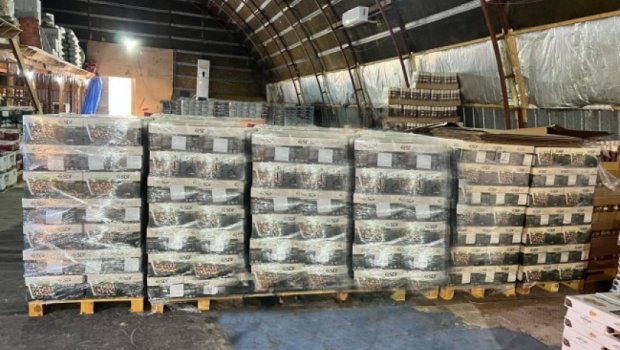 İdxal olunan antep fıstığında uyğunsuzluq AŞKARLANDI - FOTO