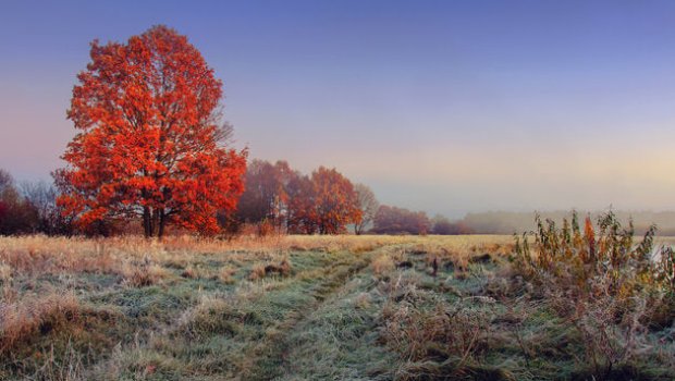 Noyabrın ilk gününün HAVASI AÇIQLANDI
