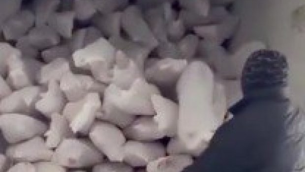 "12 manata monqol əti" Azərbaycan bazarını bürüyüb - VİDEO