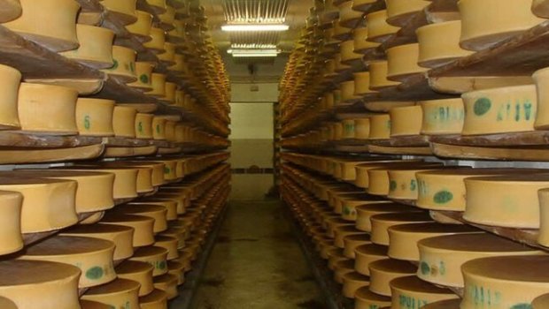 ABŞ yerin altında 600 milyon kq-dan çox pendir saxlayır: Səbəb nədir?