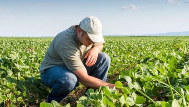 Rəsmi işi olmayan kəndlilərin ORTAQ PROBLEMİ – Necə kredit götürsünlər?