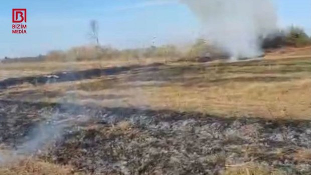 Zərdabda yanğın törədən şəxs məsuliyyətə cəlb olundu