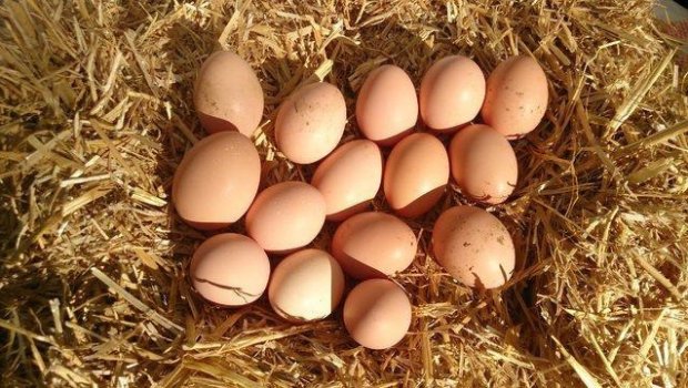 Qusar bazarında yumurta QITLIĞI – “Kənd yumurtası” adı ilə alıclar necə aldadılır?