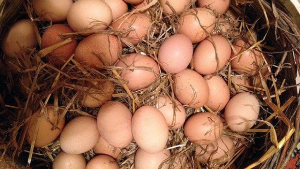 İranda yumurta üçün uzun növbə - ANBAAN VİDEO