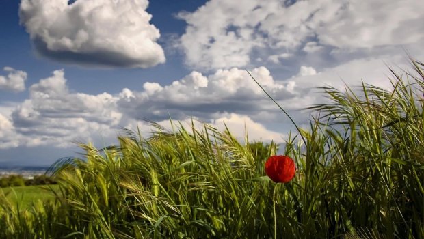 Sabah hava necə olacaq? – PROQNOZ