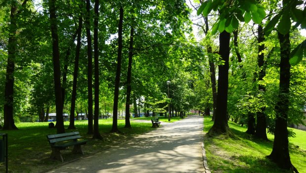 Tovuzda parkda 57 yaşlı kişi meyiti tapıldı