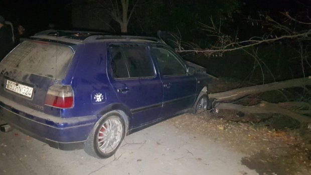 Göyçayda AĞIR QƏZA: Sürücü xəsarət aldı - FOTO