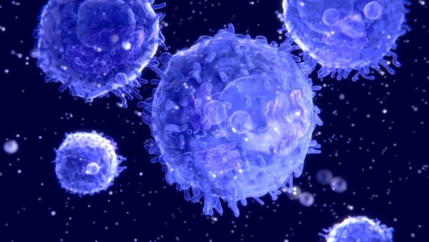 Viruslardan uzunmüddətli qorunmaq üçün güclü mexanizm AŞKARLANDI