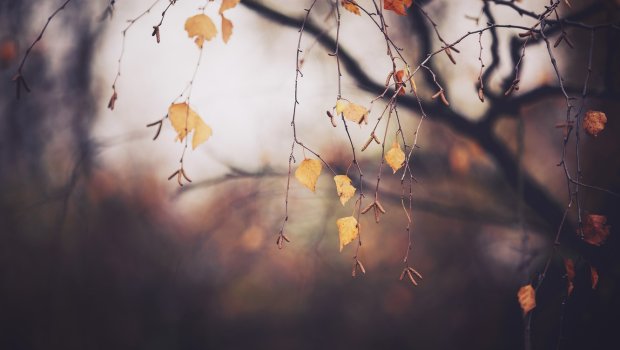 Sabah hava necə olacaq? &ndash; PROQNOZ