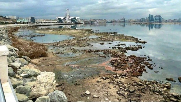 Xəzərdə suyun azalması ilə bağlı HƏYƏCAN TƏBİLİ &ndash; Qorxunc xəstəliklər ARTA BİLƏR