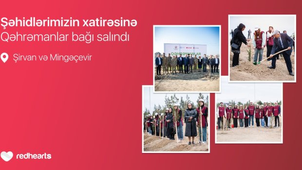 &ldquo;Qəhrəmanlar bağı&rdquo; layihəsi: Şəhidlərin xatirəsinə 543 ağac əkildi