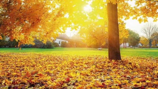 Rekord temperatur QEYDƏ ALINDI &ndash; Bu qış qar üzünə həsrət QALA BİLƏRİK...