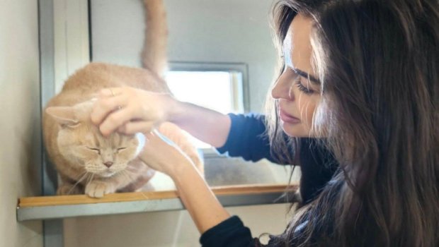 Leyla Əliyeva IDEA Heyvanlara Qayğı Mərkəzində - FOTO