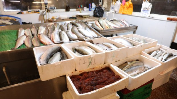 &ldquo;8-ci km&rdquo; bazarında yerləşən &ldquo;Nəzrin-E&rdquo; MMC-də ciddi nöqsanlar aşkarlandı - FOTO