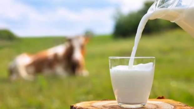 Yağlı süd içənlərə TÖVSİYƏ