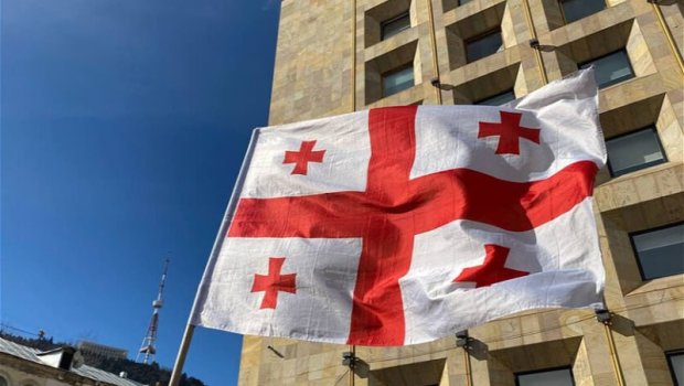 Gürcüstan müxalifəti aclıq aksiyasını dayandırdı