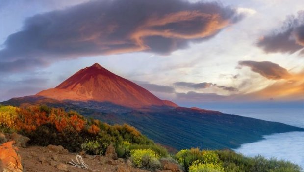 Kanar adalarında 2 min il əvvəl əkilmiş məhsul tapıldı
