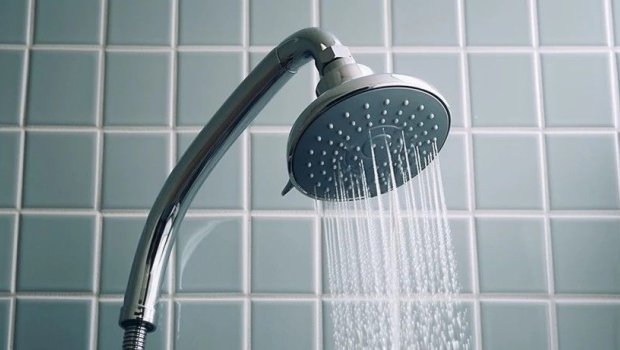 Göbələkdən tutmuş, leqionellaya qədər… - Duş başlığında gizlənən TƏHLÜKƏ