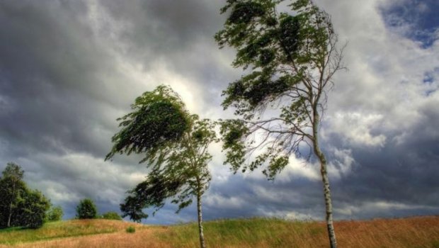 Bəzi ərazilərə qar yağır - FAKTİKİ HAVA