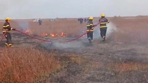 Cəlilabadda açıq ərazidə yanğın olub - FOTO/VİDEO