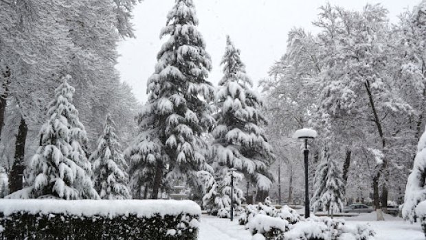 İsmayıllıya ilk qar yağdı – VİDEO