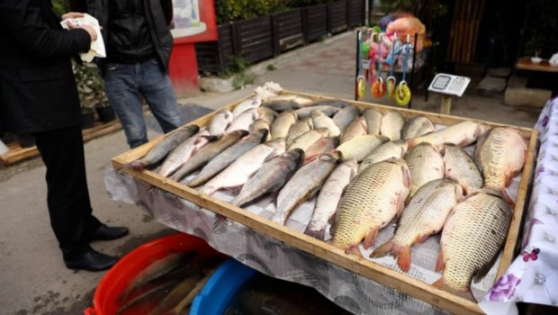Bakının bu ərazisində qanunsuz küçə satışına qarşı REYD &ndash; FOTO/VİDEO
