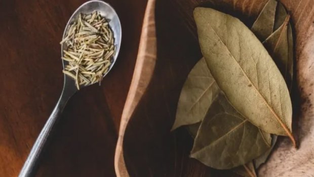 Dekabrda dörd gün dəfnə yarpağı yandırın: həyatınızın necə dəyişdiyini görün